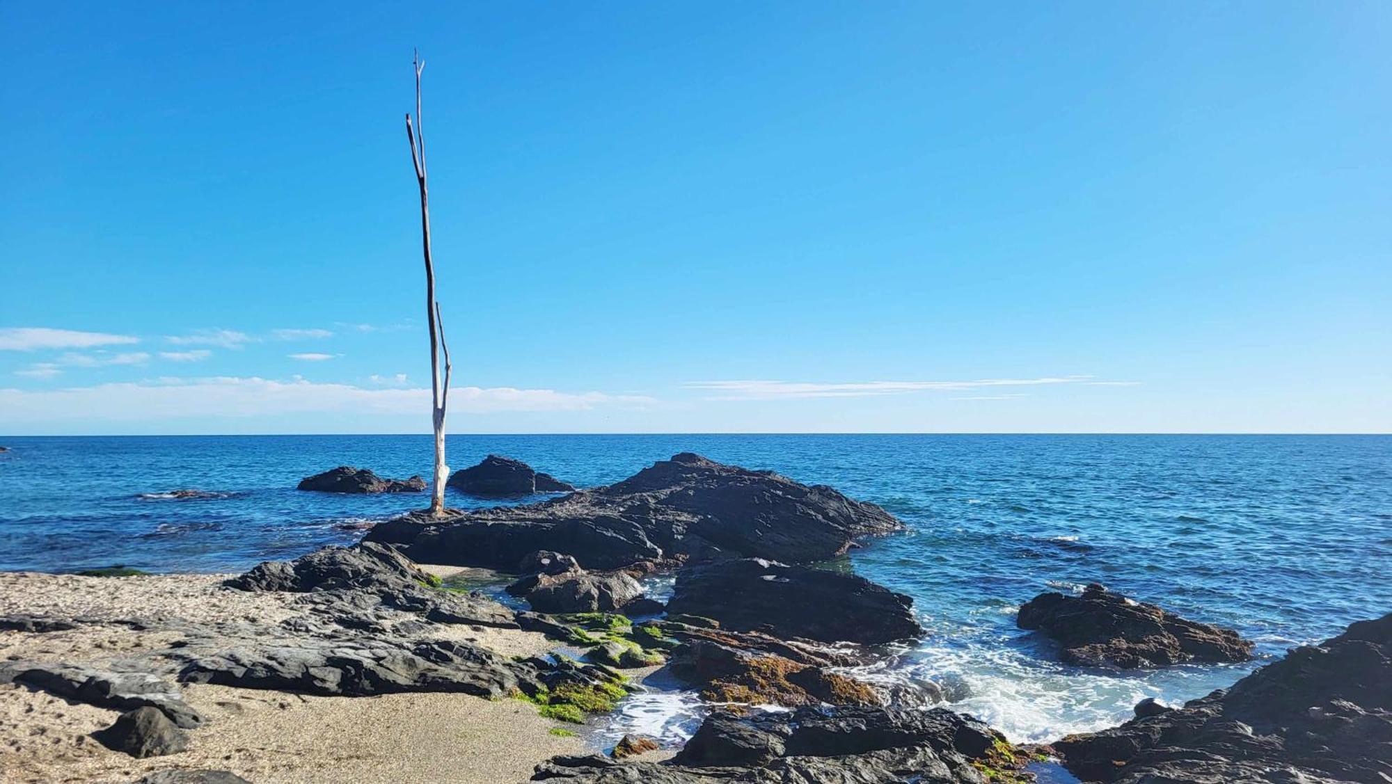 Timon House! - Playa 70m Piscina Parking Apartment